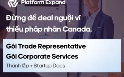 Case Study: Startup Công nghệ Việt nam Gọi vốn Series A Bắc Mỹ